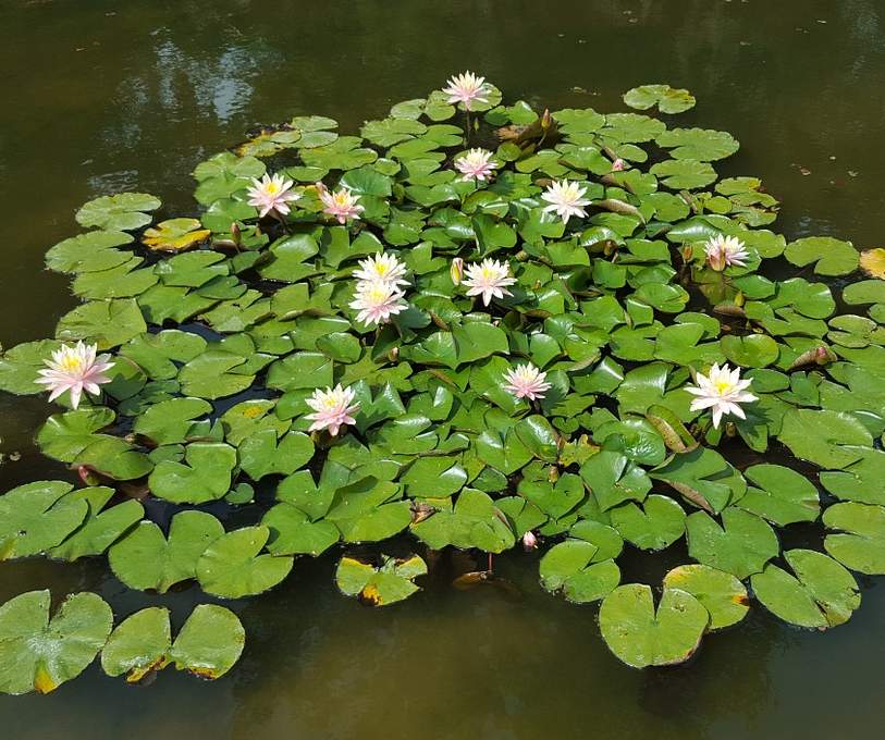 Alexandra Park - YourDaysOut