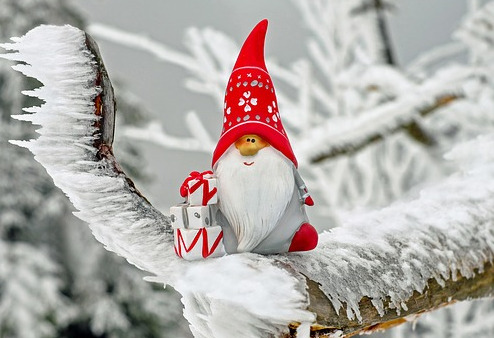 santa visit meath