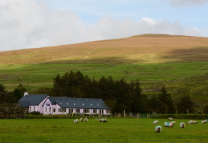 Things to do in County Mayo, Ireland - Glen Keen Farm - YourDaysOut