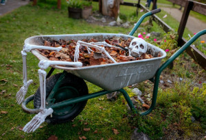 Halloween at Brigit’s Garden, Galway - YourDaysOut