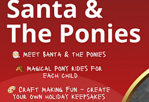 Things to do in County Dublin, Ireland - Santa & The Ponies | Festina Lente - YourDaysOut