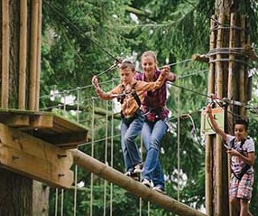 Go Ape! - Rivington - YourDaysOut